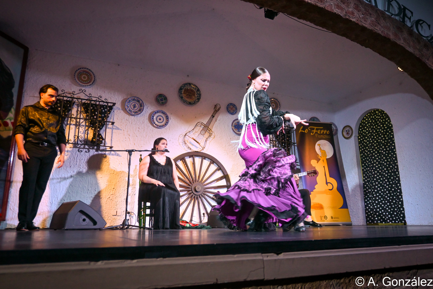 DSC_7903.jpg